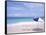 Lounge Chairs and Umbrella on the Beach-Bill Bachmann-Framed Stretched Canvas