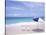 Lounge Chairs and Umbrella on the Beach-Bill Bachmann-Stretched Canvas