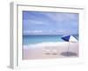 Lounge Chairs and Umbrella on the Beach-Bill Bachmann-Framed Premium Photographic Print