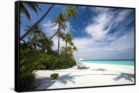 Lounge chairs under shade of umbrella on tropical beach, Maldives, Indian Ocean, Asia-Sakis Papadopoulos-Framed Stretched Canvas