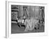 Lounge Lizard 1930s-null-Framed Photographic Print