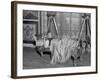 Lounge Lizard 1930s-null-Framed Photographic Print