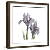 Lounging Lavender 1-Albert Koetsier-Framed Premium Giclee Print