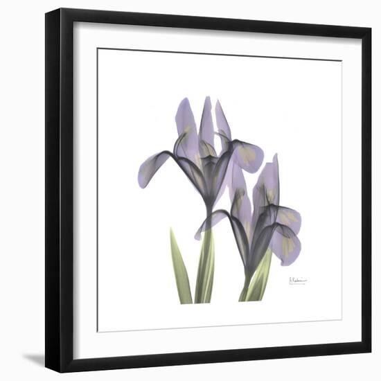 Lounging Lavender 1-Albert Koetsier-Framed Premium Giclee Print