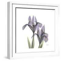 Lounging Lavender 1-Albert Koetsier-Framed Premium Giclee Print