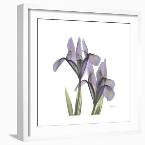 Lounging Lavender 1-Albert Koetsier-Framed Premium Giclee Print