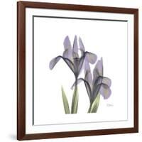 Lounging Lavender 1-Albert Koetsier-Framed Premium Giclee Print