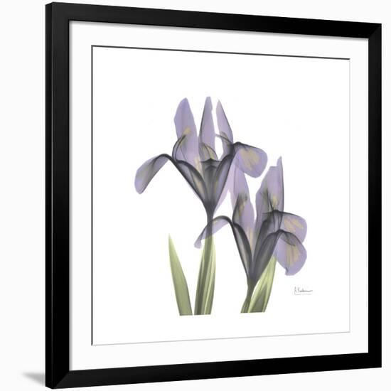 Lounging Lavender 1-Albert Koetsier-Framed Premium Giclee Print