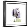 Lounging Lavender-Albert Koetsier-Framed Premium Giclee Print