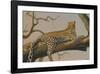 Lounging Leopard-Clive Kay-Framed Art Print