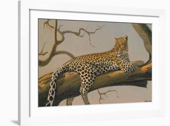 Lounging Leopard-Clive Kay-Framed Art Print