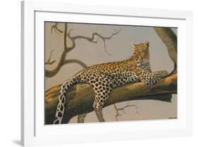 Lounging Leopard-Clive Kay-Framed Art Print