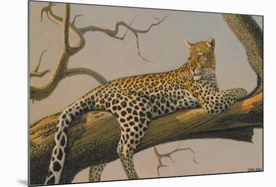 Lounging Leopard-Clive Kay-Mounted Art Print