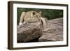 Lounging-Susann Parker-Framed Premium Photographic Print