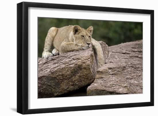 Lounging-Susann Parker-Framed Premium Photographic Print