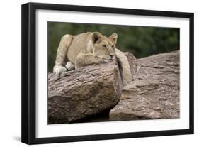 Lounging-Susann Parker-Framed Premium Photographic Print