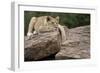 Lounging-Susann Parker-Framed Premium Photographic Print