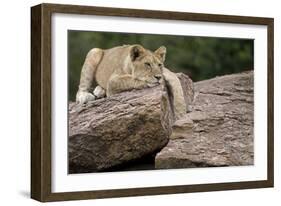 Lounging-Susann Parker-Framed Photographic Print