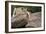 Lounging-Susann Parker-Framed Photographic Print