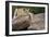 Lounging-Susann Parker-Framed Photographic Print