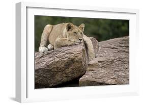 Lounging-Susann Parker-Framed Photographic Print