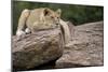 Lounging-Susann Parker-Mounted Photographic Print