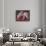 Loups, 2001-Mark Adlington-Giclee Print displayed on a wall