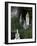 Lourdes Grotto, Lourdes, Hautes Pyrenees, France, Europe-Godong-Framed Photographic Print