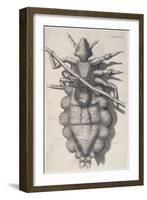 Louse Clinging to a Human Hair in Hooke's Micrographia, 1665-Robert Hooke-Framed Giclee Print