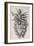 Louse Clinging to a Human Hair in Hooke's Micrographia, 1665-Robert Hooke-Framed Giclee Print