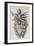 Louse Clinging to a Human Hair in Hooke's Micrographia, 1665-Robert Hooke-Framed Giclee Print