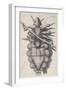 Louse Clinging to a Human Hair in Hooke's Micrographia, 1665-Robert Hooke-Framed Giclee Print