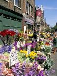 Sunday Flower Market, Columbia Road, London, England, United Kingdom-Lousie Murray-Photographic Print