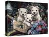 Lovable Westies-Jenny Newland-Stretched Canvas