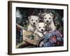 Lovable Westies-Jenny Newland-Framed Giclee Print