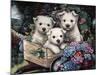 Lovable Westies-Jenny Newland-Mounted Giclee Print