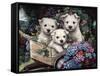 Lovable Westies-Jenny Newland-Framed Stretched Canvas