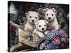Lovable Westies-Jenny Newland-Stretched Canvas