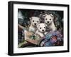 Lovable Westies-Jenny Newland-Framed Giclee Print