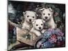 Lovable Westies-Jenny Newland-Mounted Premium Giclee Print