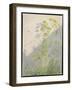 Lovage against Diagonal Shadows, 1999 (Oil on Canvas)-Timothy Easton-Framed Giclee Print