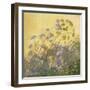 Lovage, Clematis and Shadows, 1999-Timothy Easton-Framed Giclee Print