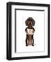 Love and Dachshund-Fab Funky-Framed Art Print