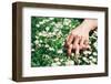 Love and Passion Hands on Spring Flowers-Dirima-Framed Photographic Print