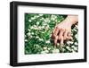 Love and Passion Hands on Spring Flowers-Dirima-Framed Photographic Print