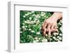 Love and Passion Hands on Spring Flowers-Dirima-Framed Photographic Print