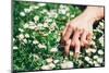 Love and Passion Hands on Spring Flowers-Dirima-Mounted Photographic Print