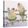 Love Birds-Pat Scott-Stretched Canvas