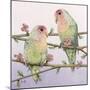 Love Birds-Pat Scott-Mounted Giclee Print