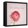 Love Blooms Here-Susannah Tucker-Framed Stretched Canvas